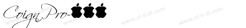 Coign Pro字体转换
